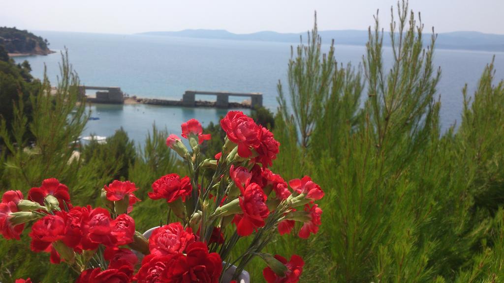 Apartmani Sea View Lokva Rogoznica Rom bilde